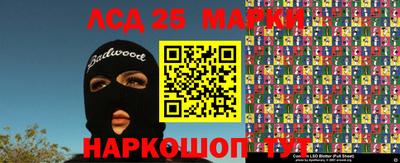 крисы Беслан
