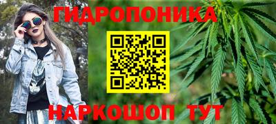 Альфа ПВП Бийск