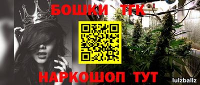 крисы Беслан