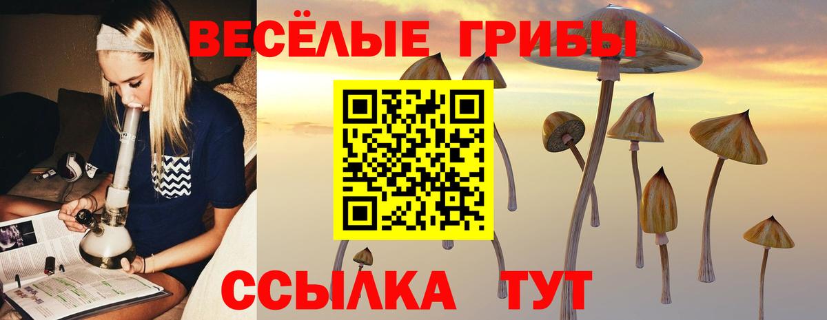 Псилоцибиновые грибы Psilocybine cubensis  Вход с VPN  Кандалакша 