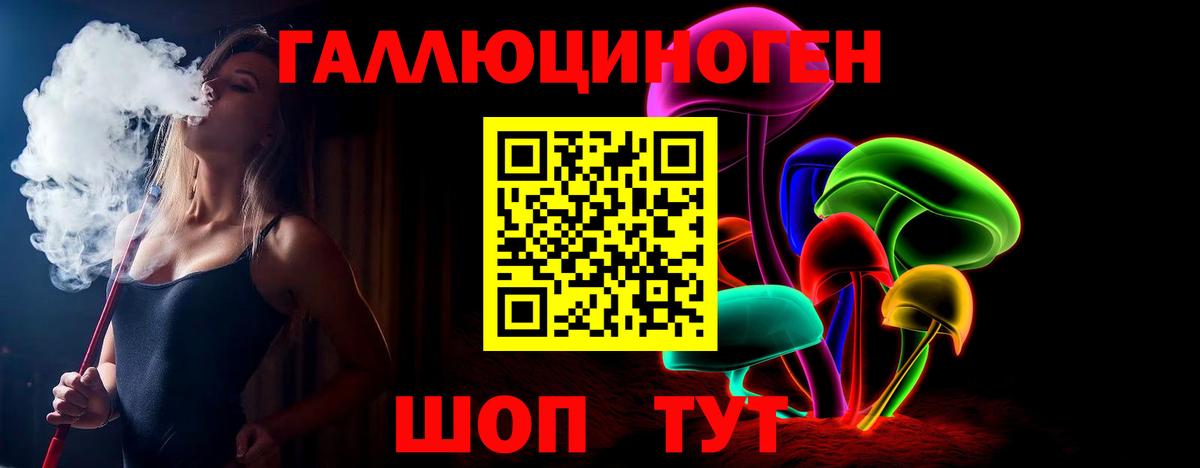 Псилоцибиновые грибы Psilocybine cubensis Кандалакша